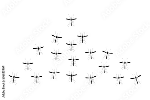 mosquito isolated on white background. vector illustration