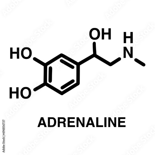  Formula of chemical structure of adrenaline, estrogen, testosterone