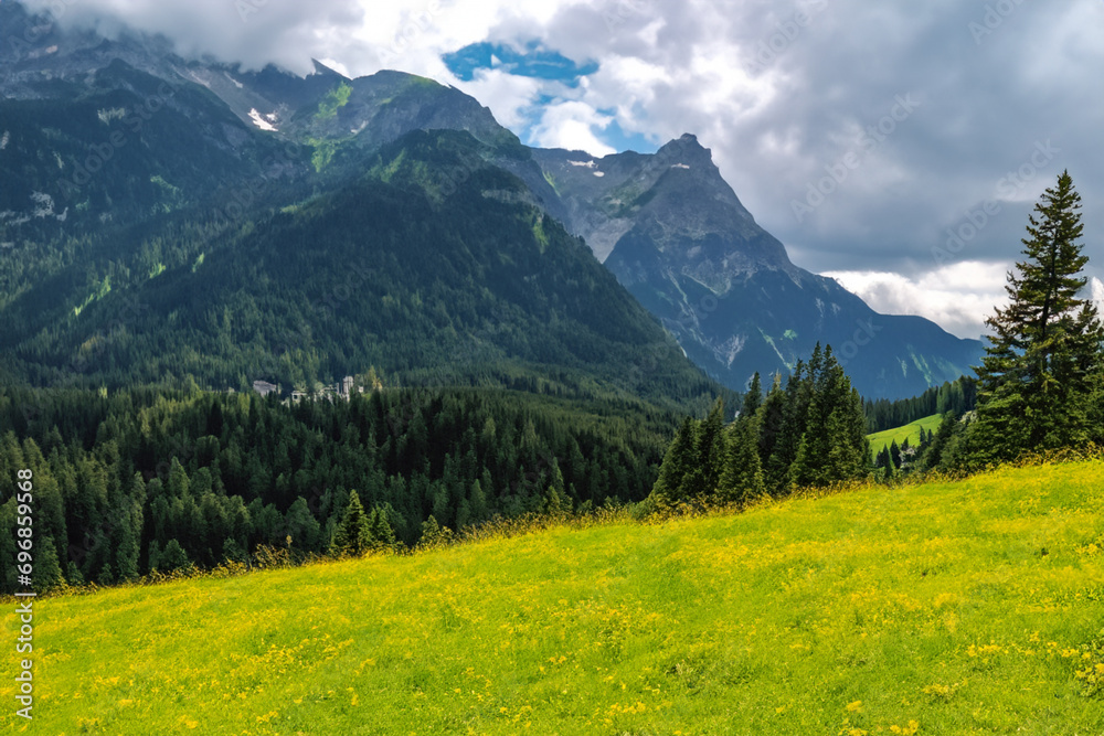 meadow in the mountains. alpine meadows and forest, blue sky and high mountains in the background. landscape concept