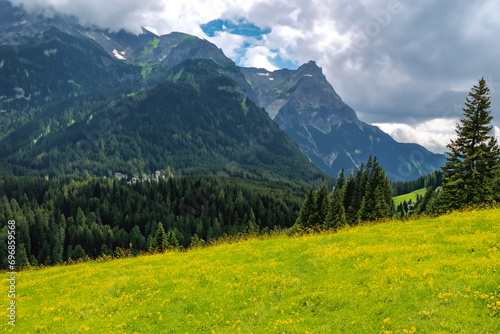 meadow in the mountains. alpine meadows and forest  blue sky and high mountains in the background. landscape concept