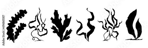 Set of seaweed silhouettes. Vector graphics.