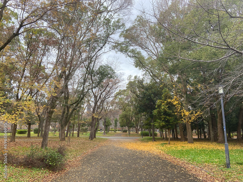 秋の公園 通り道
