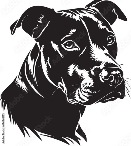 portrait of a pitbull dog