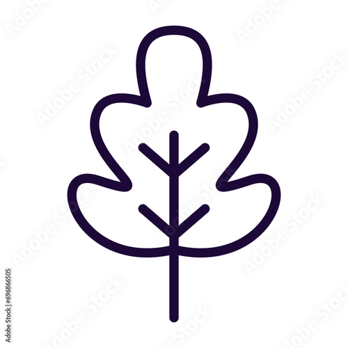 Outline Leaf Icon