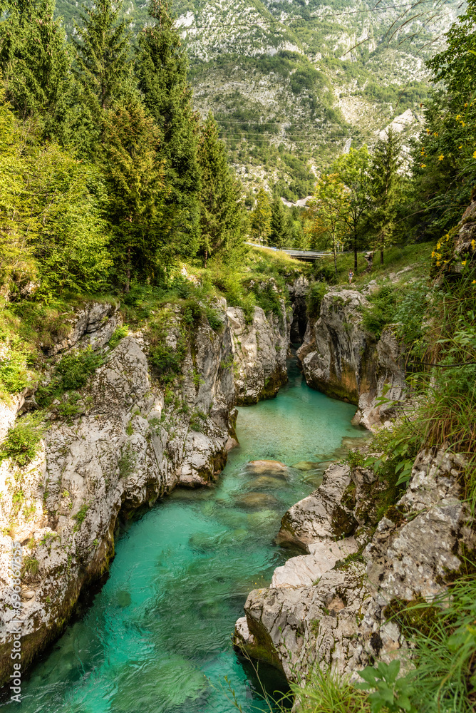 Landscape of Slovenia. The turquoise waters of the Soča River flow through a narrow gorge through the forest