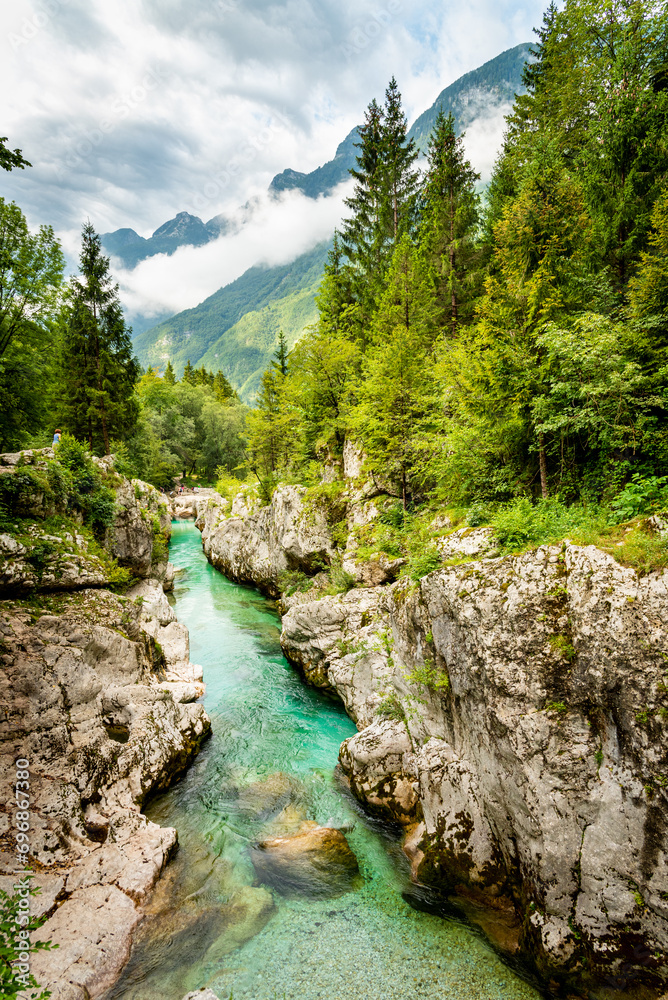 Landscape of Slovenia. The turquoise waters of the Soča River flow through a narrow gorge through the forest