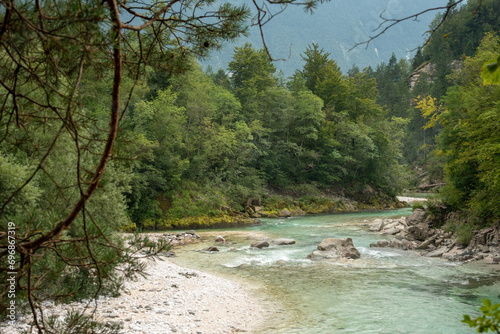 Landscape of Slovenia. The turquoise waters of the So  a River flow through the green forest