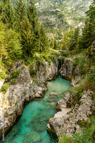 Landscape of Slovenia. The turquoise waters of the So  a River flow through a narrow gorge through the forest