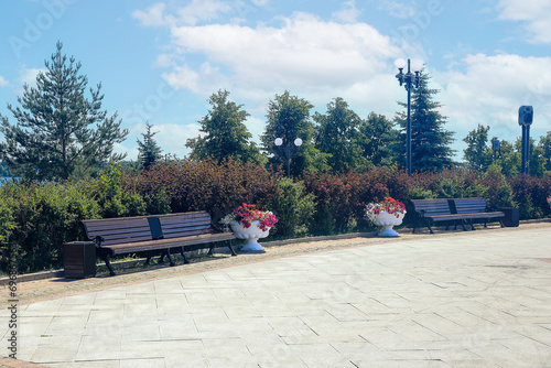 Two wooden benches among the bushes in the summer city park