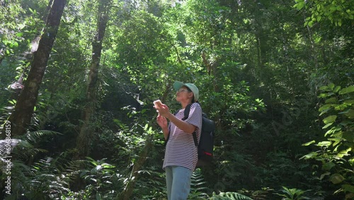 Solo woman hiker searching for directions on mobile smartphone via GPS and internet connection while standing in dense rainforest during summer. Wireless technology intergration concept. photo