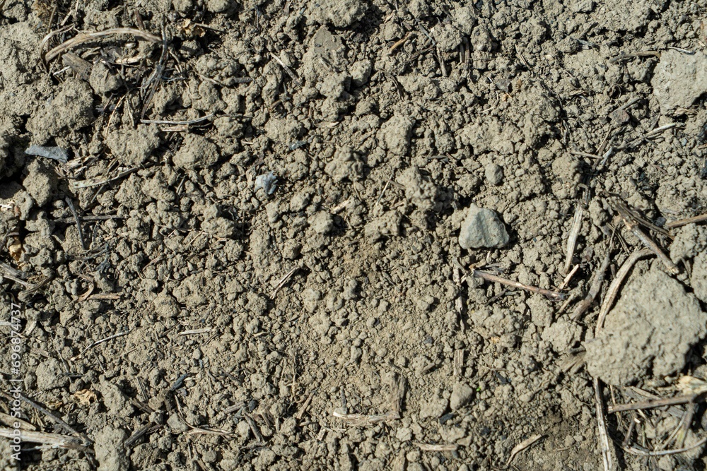 dry road with dirt sand and small stones pebbles dry road with dirt sand and small stones pebbles