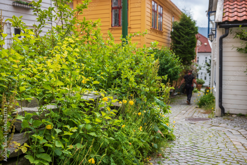 The city of Bergen is home to many gardens of flowers, trees, shurbs that coexist man-made materials that construct an urban enviroment.