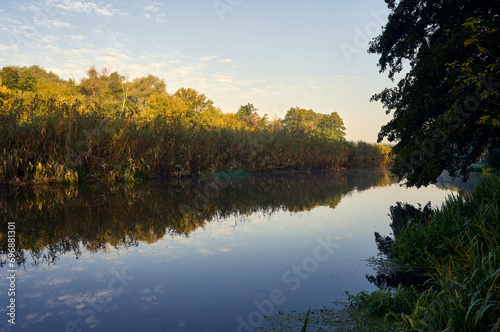 Morning on the river, the surface of the water reflects the trees and blue sky like a mirror, the banks are densely overgrown with reeds and cattails, a beautiful landscape in early autumn