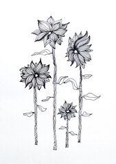 Acrylglasbilder Surrealismus Handmade ink drawing black and white four flowers  © vali_111