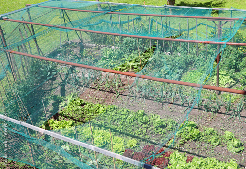 anti-hail net to protect the garden even from birds that eat vegetables photo