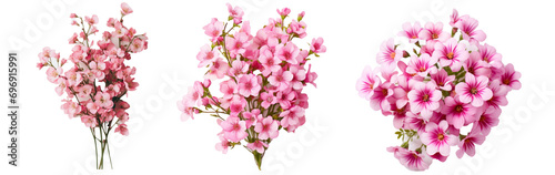 Cute small pink flowers in a bunch on a white background