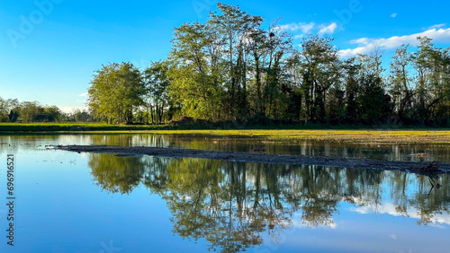 Reflection on a rural field, trees and water