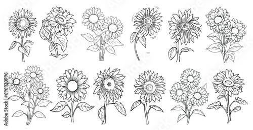 set of sunflowers. Simple Design Outline Style. You can give color you like. Vector Illustrations. 