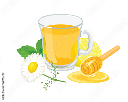 Camomile tea with honey and mint in glass cup. Vector cartoon flat illustration of healthy drink.