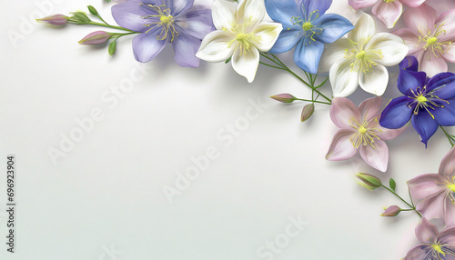 tapeta, tło kolorowe kwiaty Orlików na białym tle z miejscem do wklejenia. Generative AI
