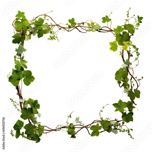 Frame of Green Leaves isolated transparent background