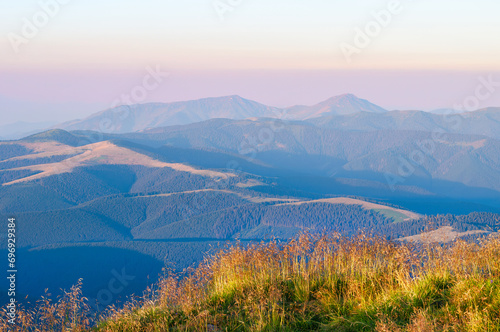 Amazing mountain landscape with grasses illuminated by the light of the morning sun. Carpathian Mountains, Ukraine