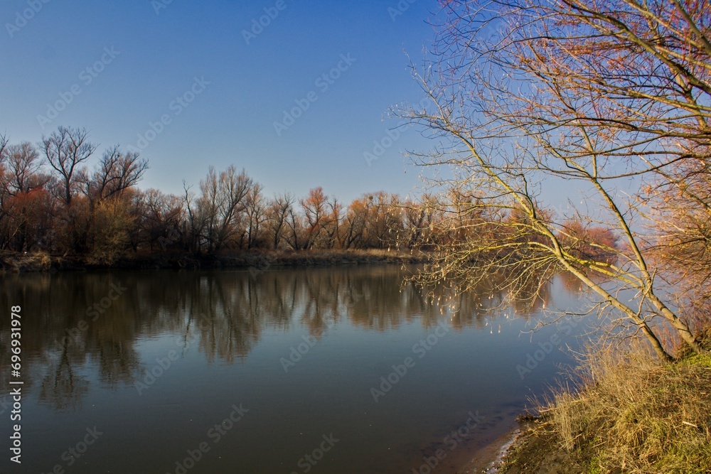 Autumn landscape with Morava river and bare tree branches