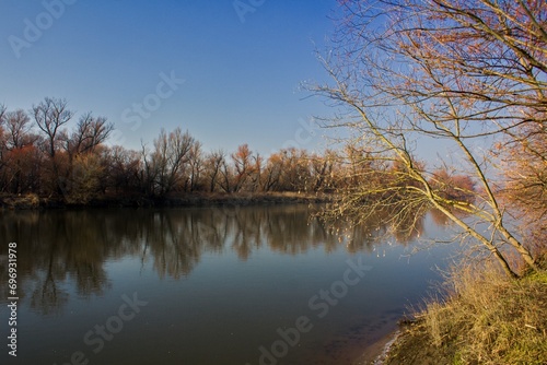 Autumn landscape with Morava river and bare tree branches © Vladimra