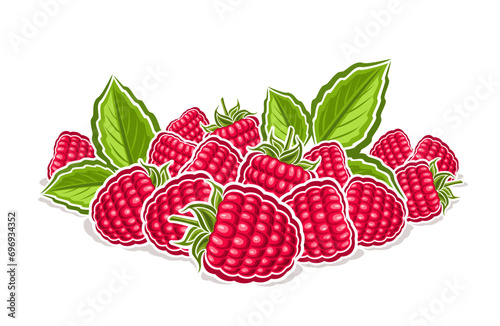 Vector logo for Raspberry, decorative horizontal poster with outline illustration of whole raspberry composition with green sprigs, cartoon design fruity print with raspberries on white background