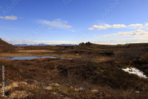 M  vatn is a shallow lake located in an area of active volcanism in northern Iceland  near the Krafla volcano