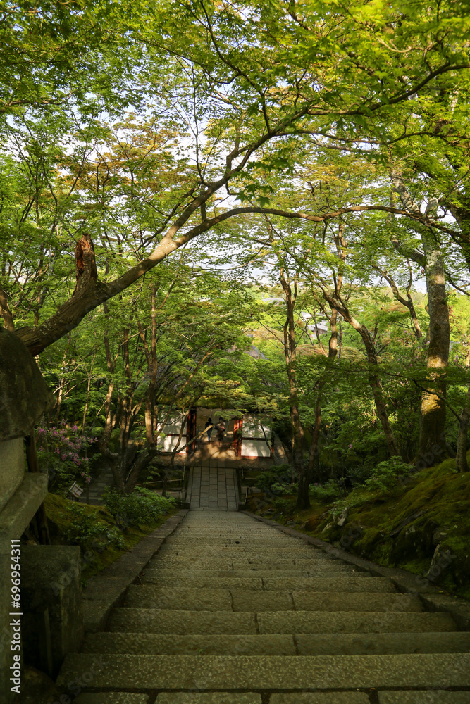 Fototapeta premium 常寂光寺の新緑の美しい境内の風景