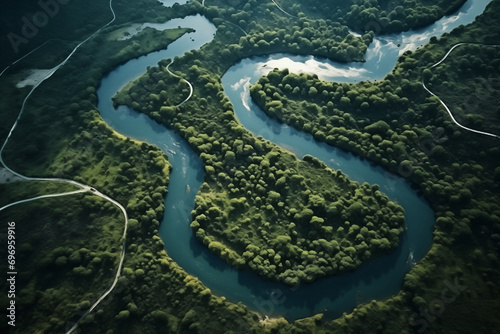 river flowing among green forest, serpentine, top view, flow