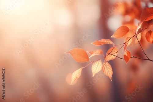 autumn background blurred  with red-gold leaves rays of sunlight  selective focus  softness