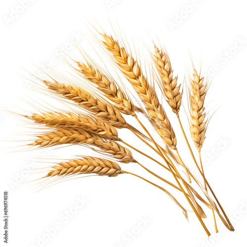 Obraz na płótnie wheat w salonie