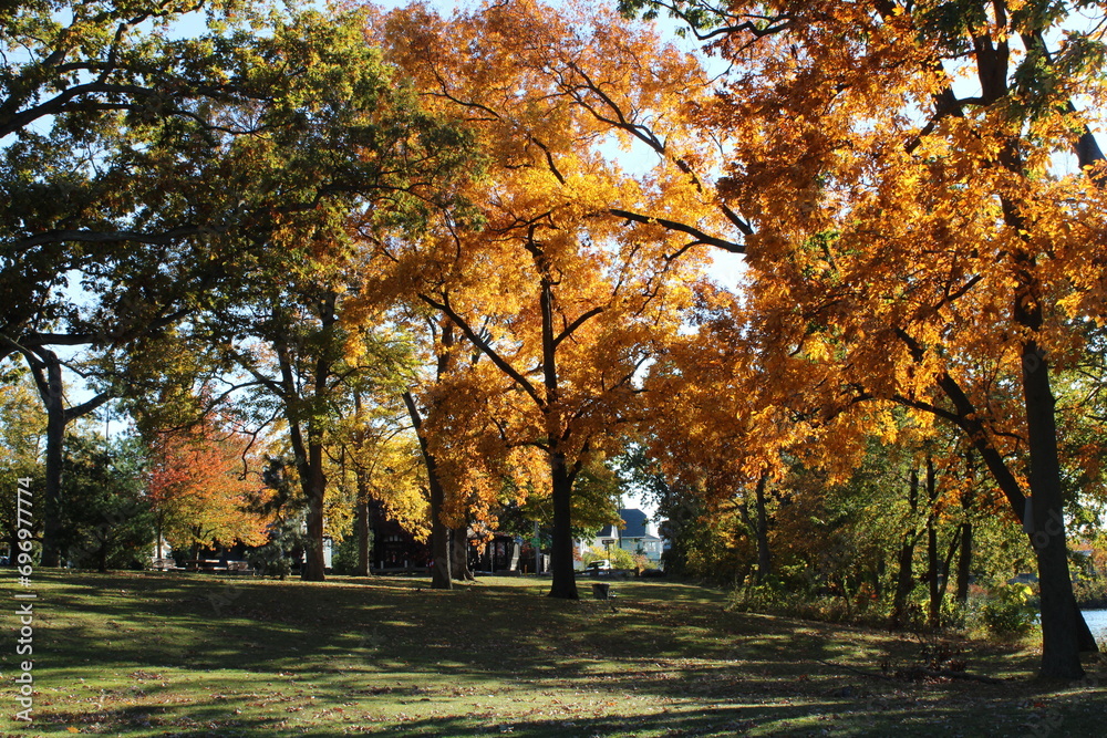 Naklejka premium autumn park in the park