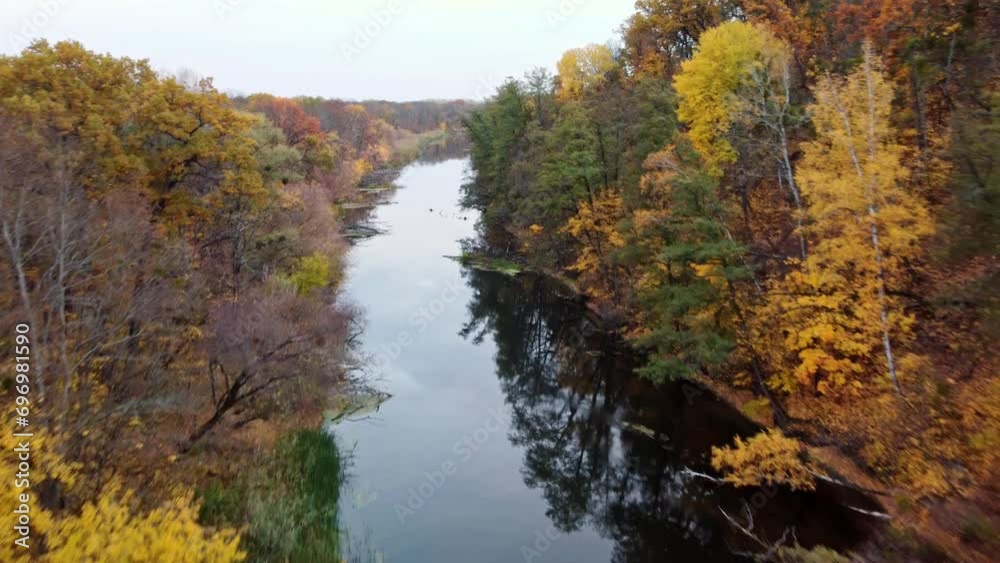Aerial forward view above river with golden autumnal forest riverbanks. Autumn on Siverskyi Donets river with calm water in Ukraine Aerial forward view above river with golden autumnal forest riverbanks. Autumn on Siverskyi Donets river with calm water in Ukraine