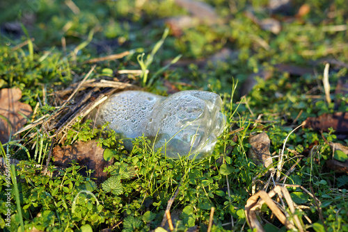 Pet bottle overgrown with moss.