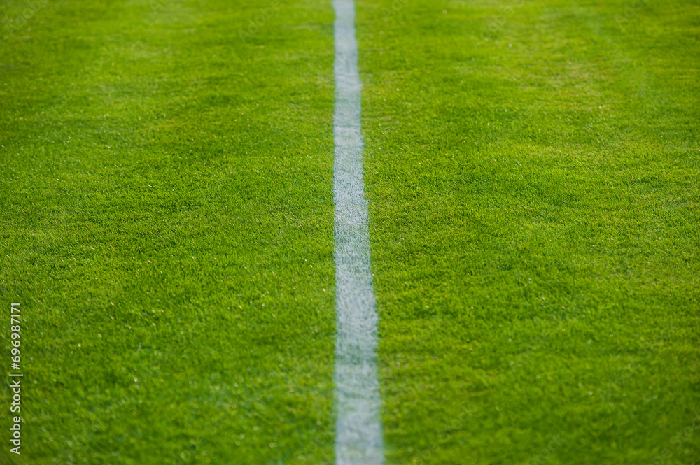 White stripe on a green football field.