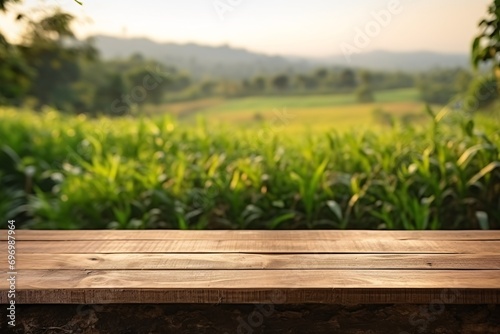 Farm display table with wooden podium showcasing natural products and greenery in morning sunlight.