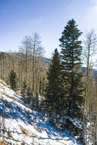 Ski Park, Sta Fe, New Mexico 