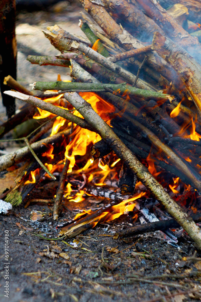 fire in the woods fire in the woods