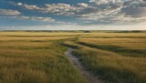 Prairie pathway leading through golden grasses under a cloudy sky, capturing the essence of the vast open landscape at sunset.