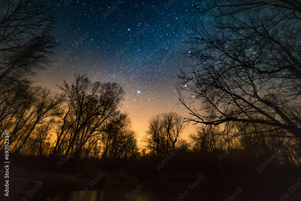 The starry sky and Milky Way above open fields and trees