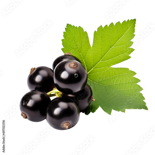 fresh organic blackcurrant cut in half sliced with leaves isolated on white background with clipping path photo
