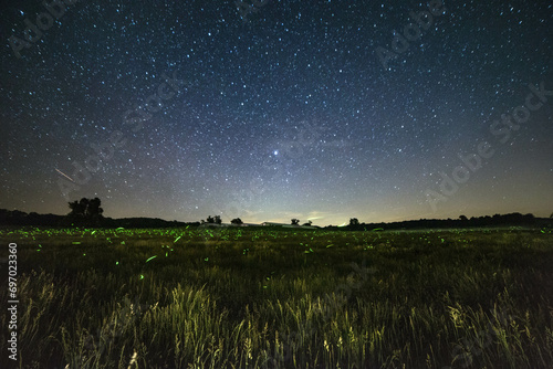 Fotografie A field filled with fireflies under a starry night sky
