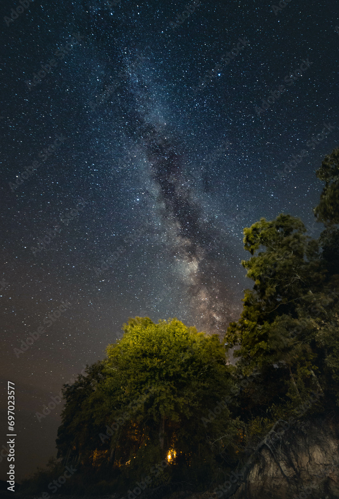 The starry sky and Milky Way above open fields and trees