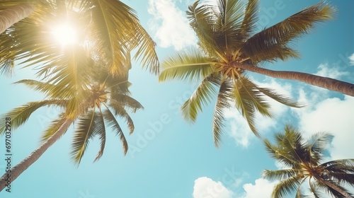 Palm trees on tropical beach, coconut trees. Tropical trees with sunlight in the sky, sunset and clouds abstract background. Vintage tone filter effect color style. © elli_