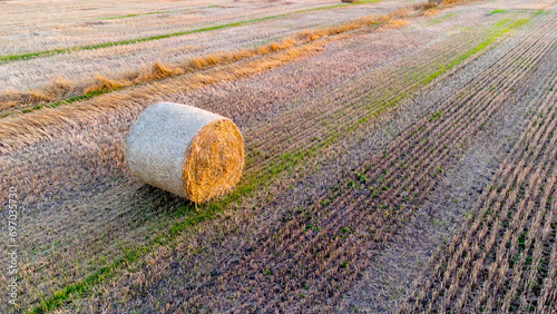 Many bales of wheat straw twisted into rolls with long shadows after wheat harvest lie on field during sunset sunrise. Flying over straw bales rolls on field. Aerial drone view. Agricultural landscape photo