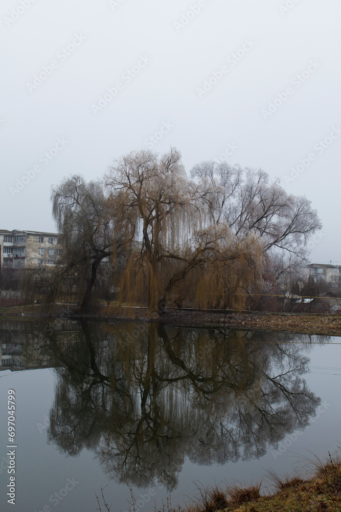 Winter landscape in Moldova on a cloudy day.