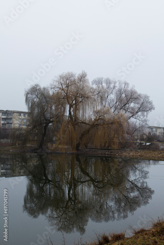 Obraz na płótnie Winter landscape in Moldova on a cloudy day. w salonie